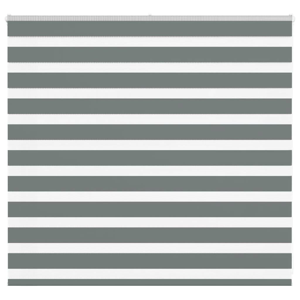 vidaXL Zebrarollo Dunkelgrau 165x100 cm Stoffbreite 160,9 cm Polyester
