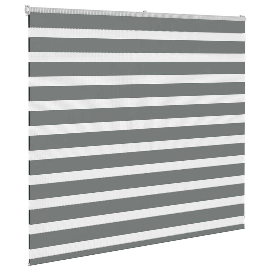 vidaXL Zebrarollo Dunkelgrau 165x100 cm Stoffbreite 160,9 cm Polyester