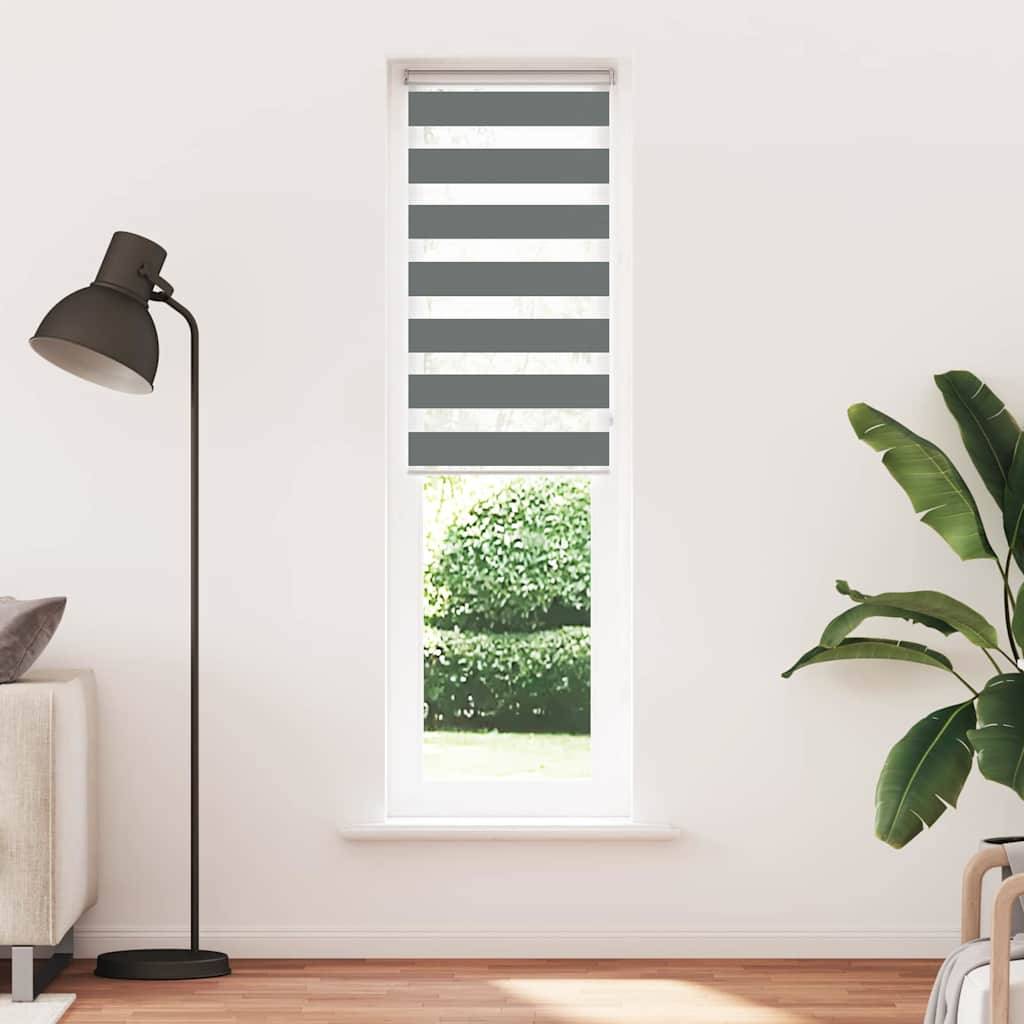 vidaXL Zebrarollo Dunkelgrau 60x200 cm Stoffbreite 55,9 cm Polyester
