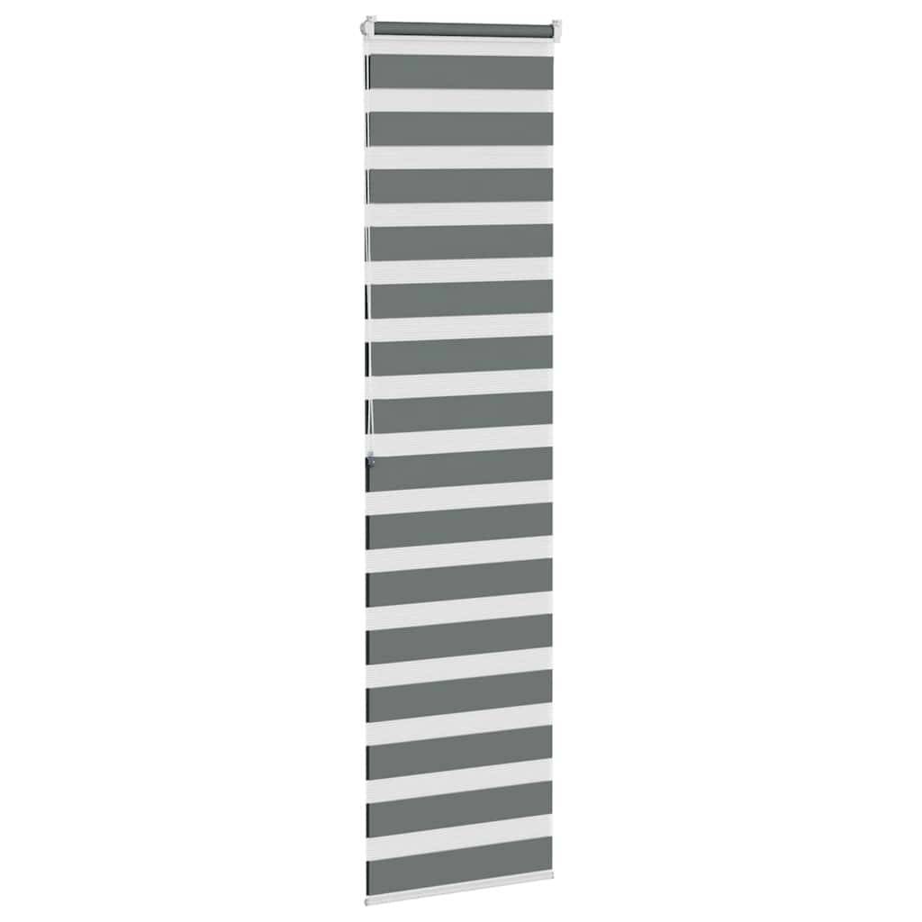 vidaXL Zebrarollo Dunkelgrau 55x200 cm Stoffbreite 50,9 cm Polyester