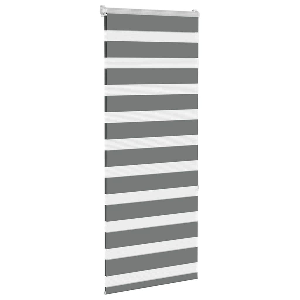 vidaXL Zebrarollo Dunkelgrau 65x150 cm Stoffbreite 60,9 cm Polyester
