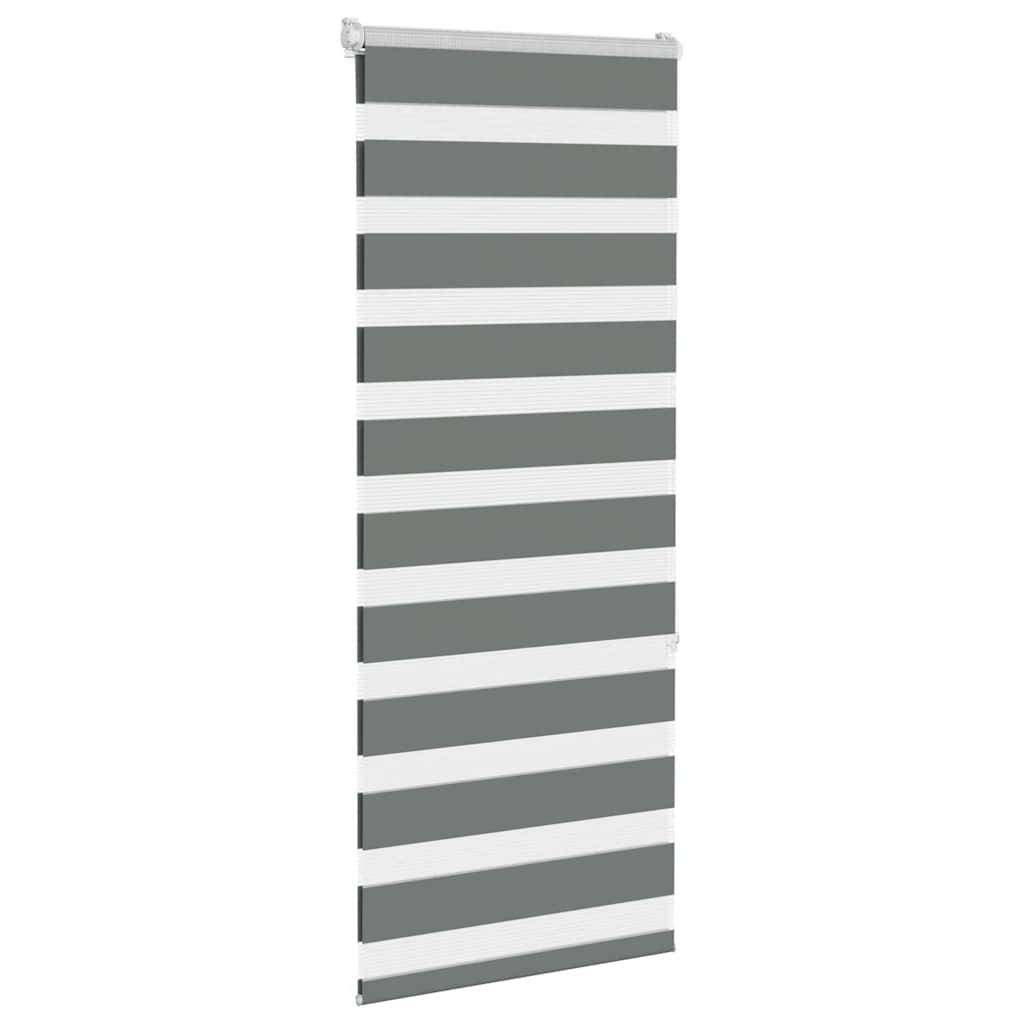 vidaXL Zebrarollo Dunkelgrau 55x150 cm Stoffbreite 50,9 cm Polyester