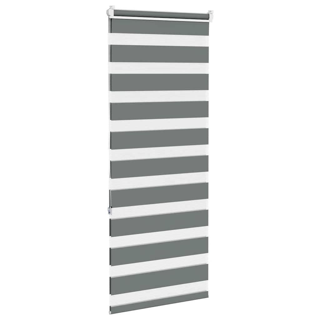 vidaXL Zebrarollo Dunkelgrau 65x150 cm Stoffbreite 60,9 cm Polyester