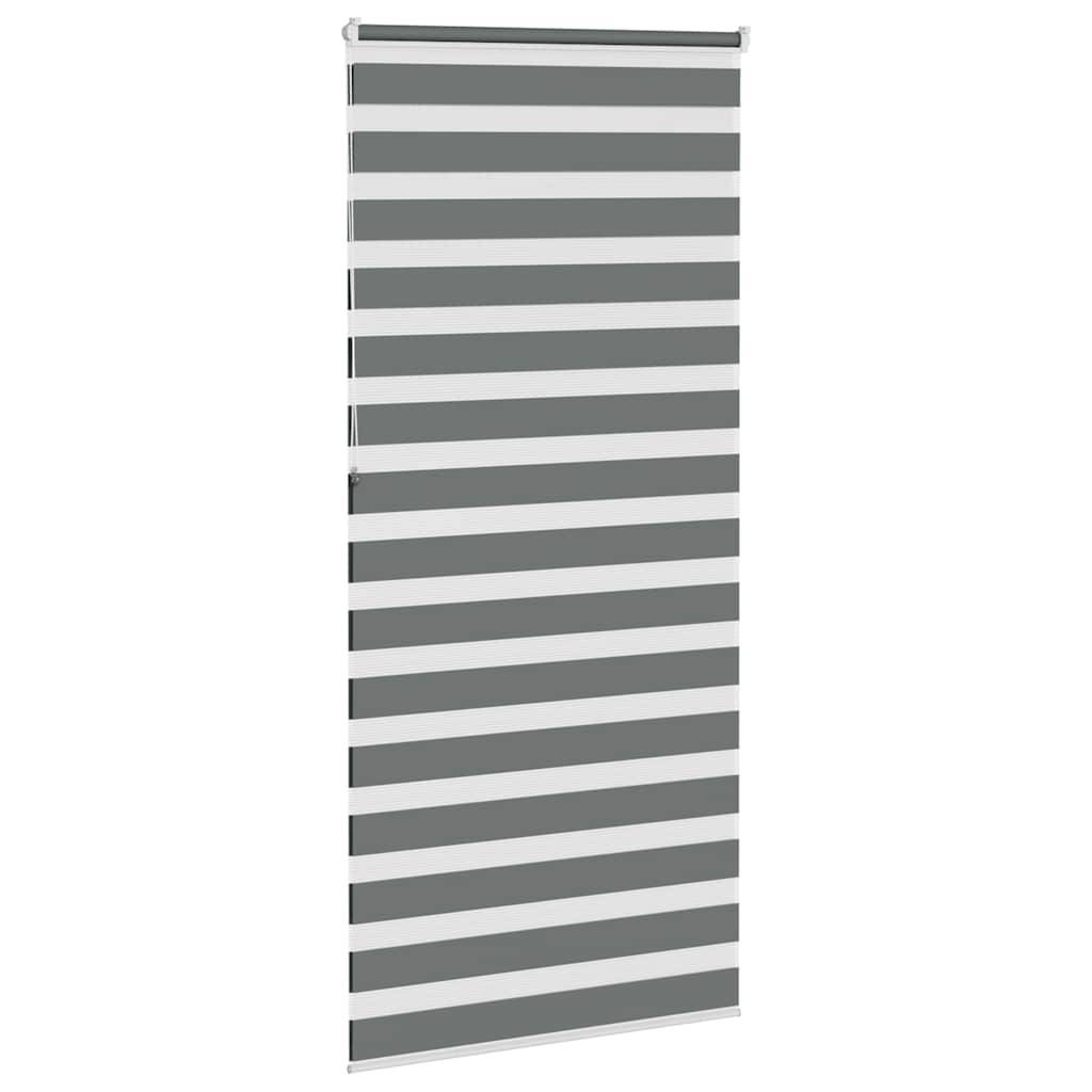 vidaXL Zebrarollo Dunkelgrau 110x230 cm Stoffbreite 105,9 cm Polyester