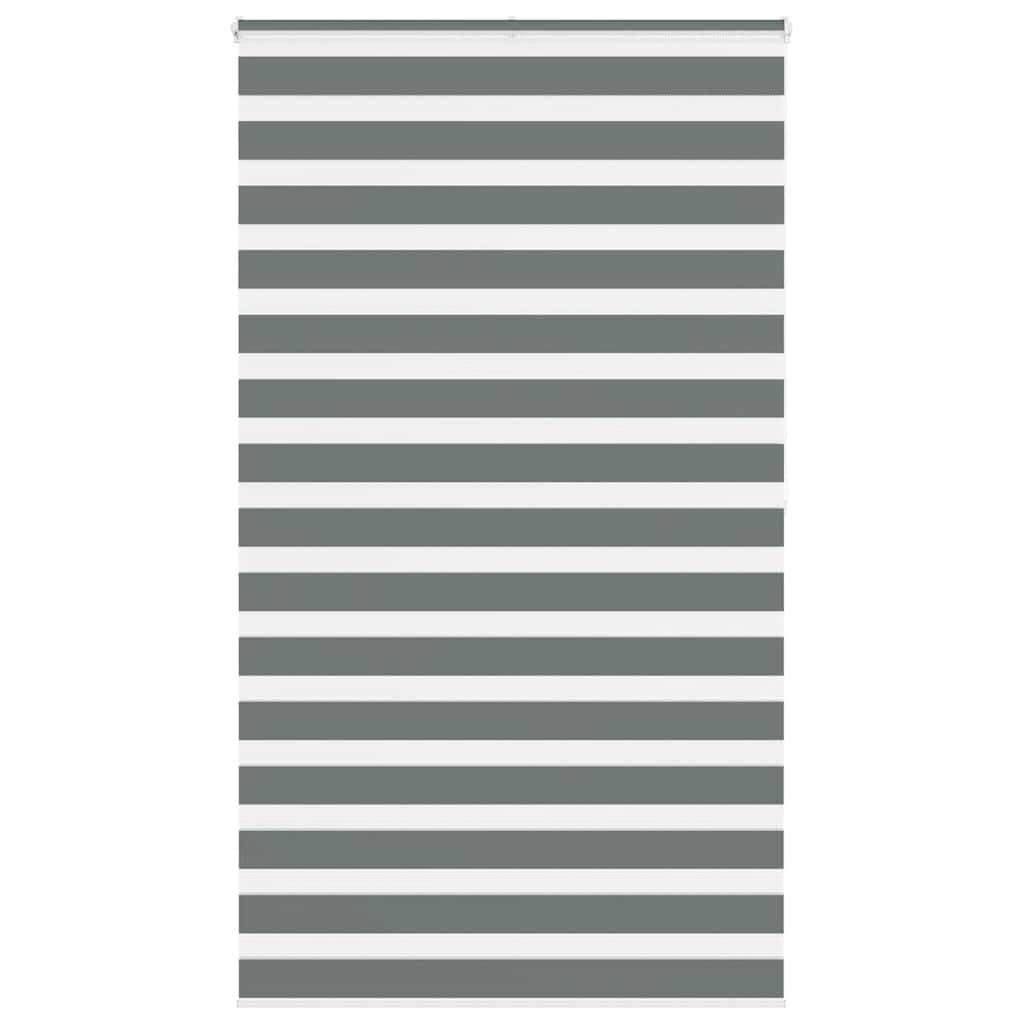 vidaXL Zebrarollo Dunkelgrau 120x200 cm Stoffbreite 115,9 cm Polyester