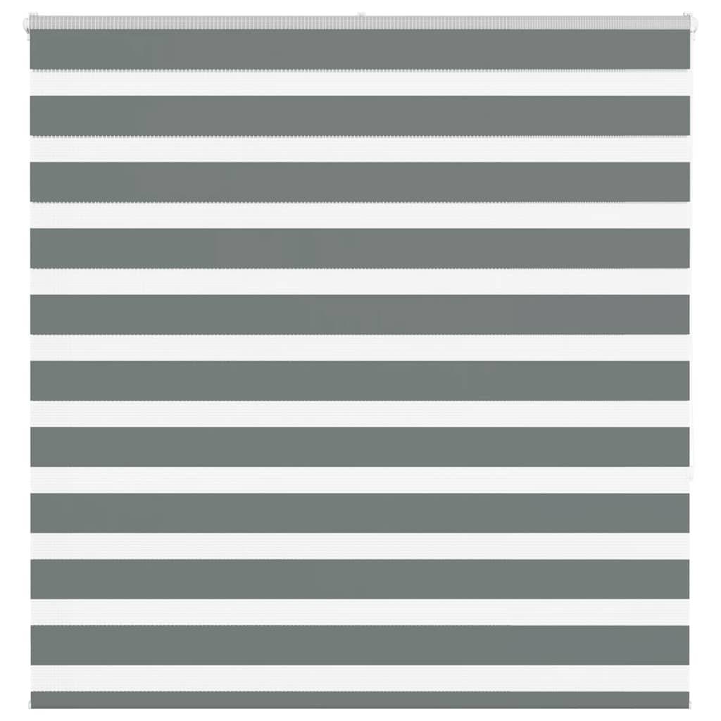 vidaXL Zebrarollo Dunkelgrau 145x150cm Stoffbreite 140,9 cm Polyester