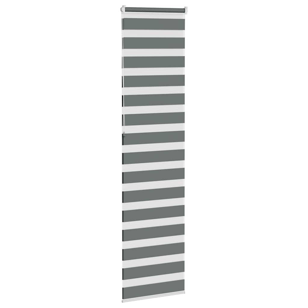 vidaXL Zebrarollo Dunkelgrau 60x230 cm Stoffbreite 55,9 cm Polyester