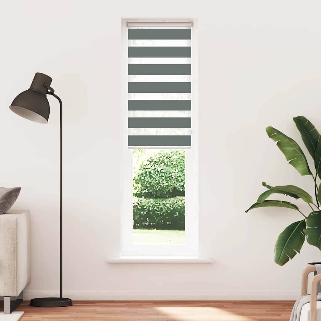 vidaXL Zebrarollo Dunkelgrau 65x230 cm Stoffbreite 60,9 cm Polyester