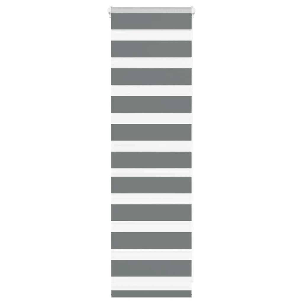 vidaXL Zebrarollo Dunkelgrau 40x100 cm Stoffbreite 35,9 cm Polyester