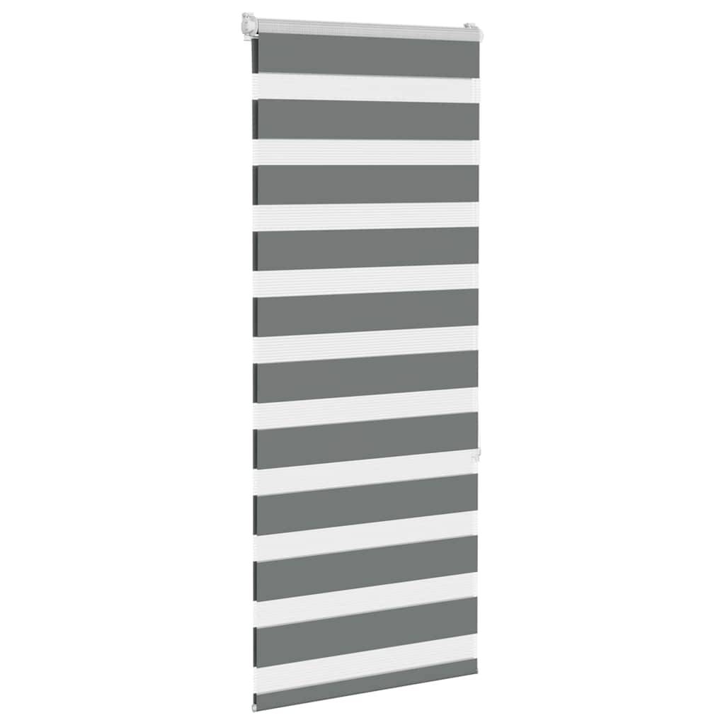 vidaXL Zebrarollo Dunkelgrau 60x150 cm Stoffbreite 55,9 cm Polyester