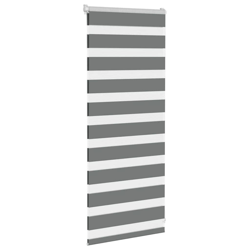 vidaXL Zebrarollo Dunkelgrau 65x100 cm Stoffbreite 60,9 cm Polyester