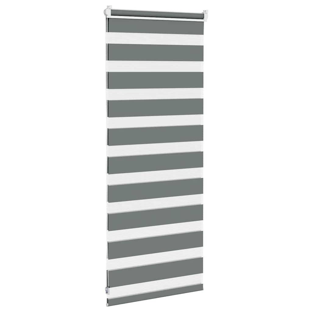 vidaXL Zebrarollo Dunkelgrau 65x100 cm Stoffbreite 60,9 cm Polyester