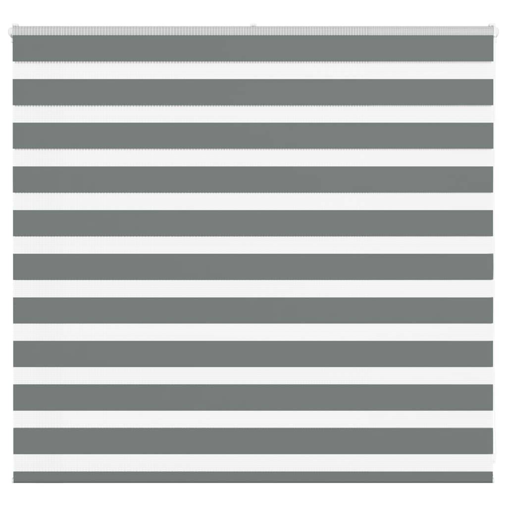 vidaXL Zebrarollo Dunkelgrau 155x100 cm Stoffbreite 150,9 cm Polyester