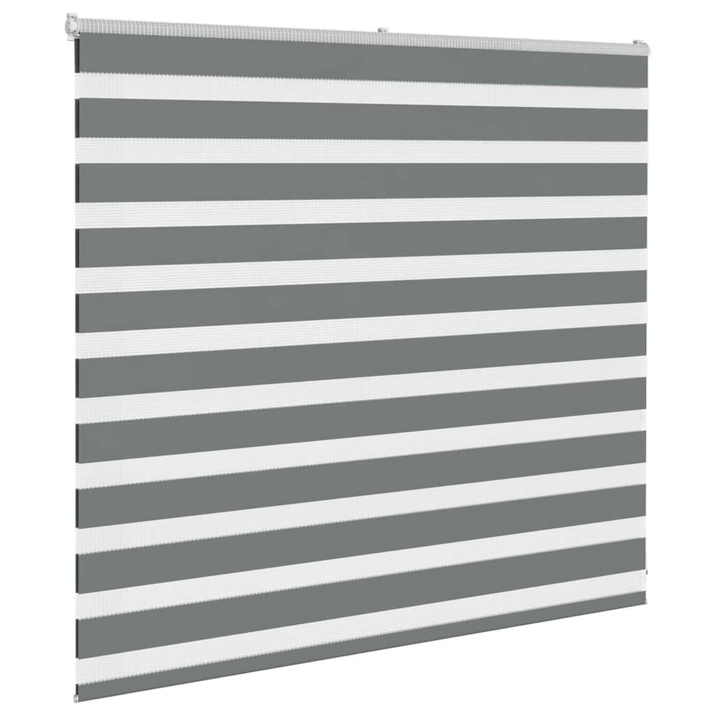 vidaXL Zebrarollo Dunkelgrau 160x100 cm Stoffbreite 155,9 cm Polyester