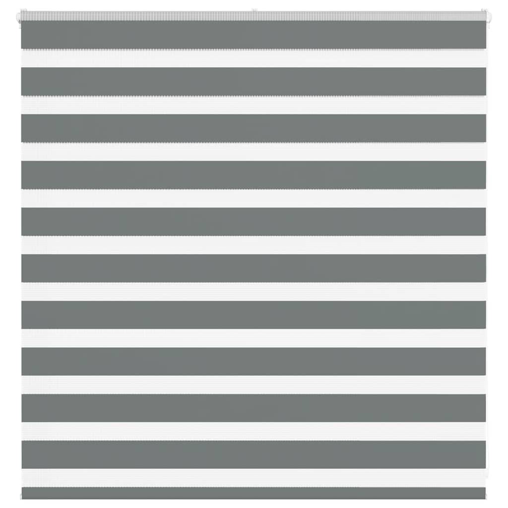 vidaXL Zebrarollo Dunkelgrau 150x100 cm Stoffbreite 145,9 cm Polyester
