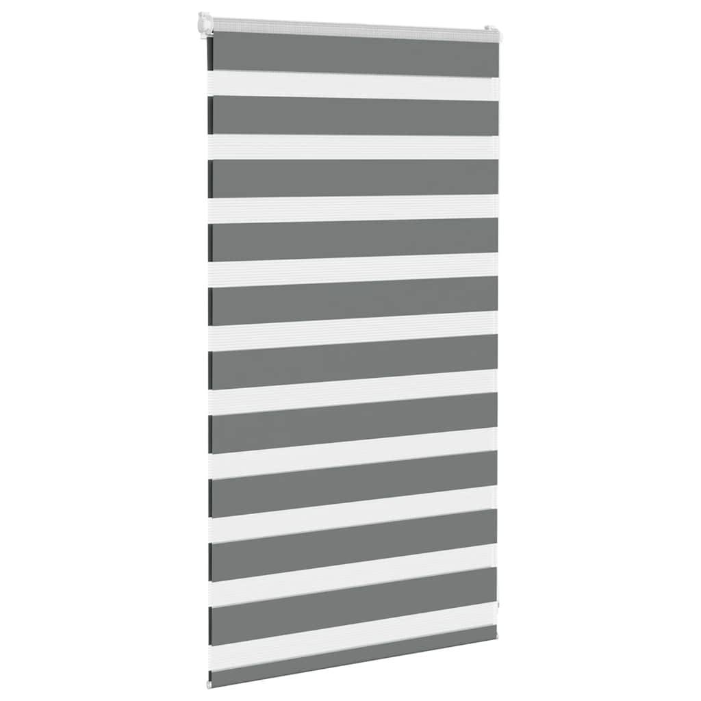 vidaXL Zebrarollo Dunkelgrau 75x100 cm Stoffbreite 70,9 cm Polyester