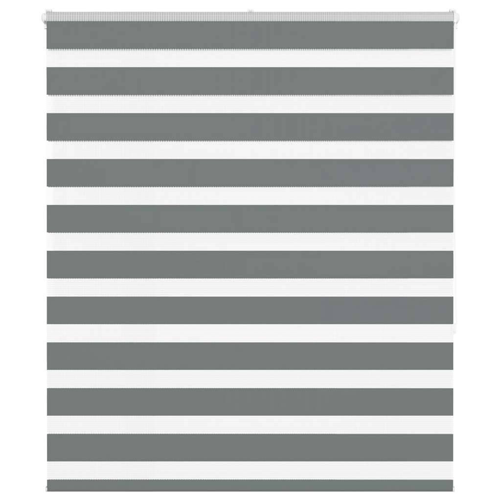 vidaXL Zebrarollo Dunkelgrau 120x150 cm Stoffbreite 115,9 cm Polyester