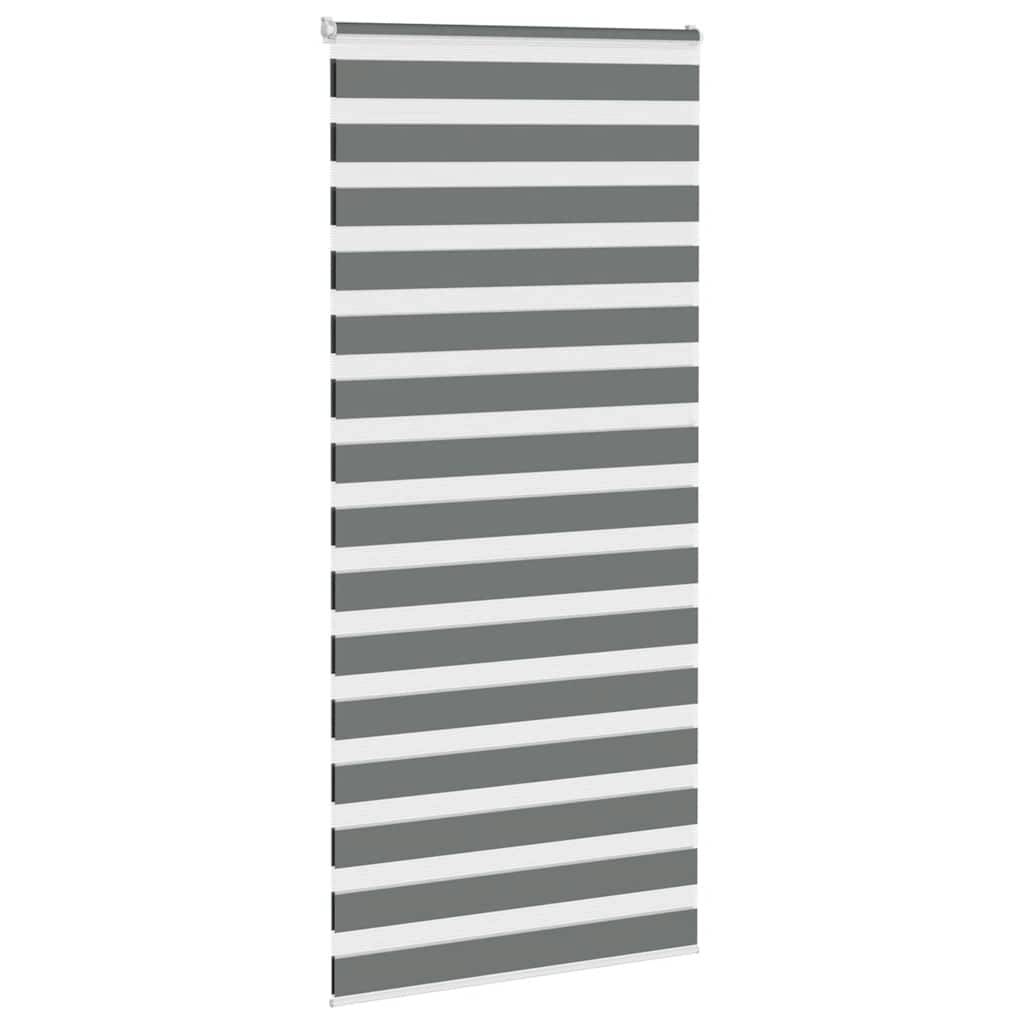 vidaXL Zebrarollo Dunkelgrau 110x230 cm Stoffbreite 105,9 cm Polyester