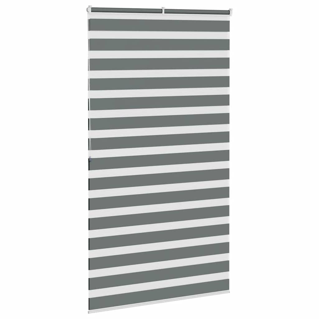vidaXL Zebrarollo Dunkelgrau 120x200 cm Stoffbreite 115,9 cm Polyester
