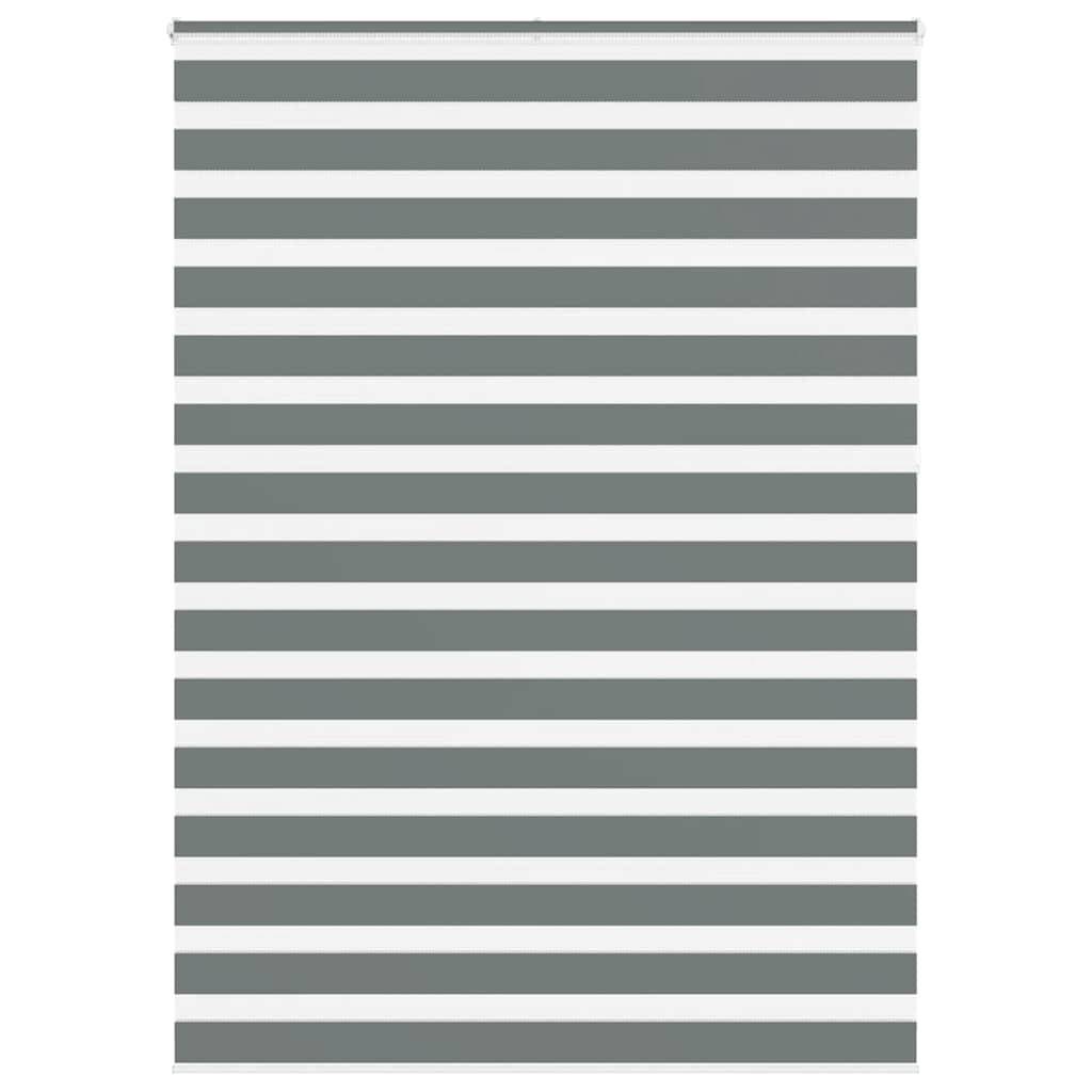 vidaXL Zebrarollo Dunkelgrau 155x230 cm Stoffbreite 150,9 cm Polyester