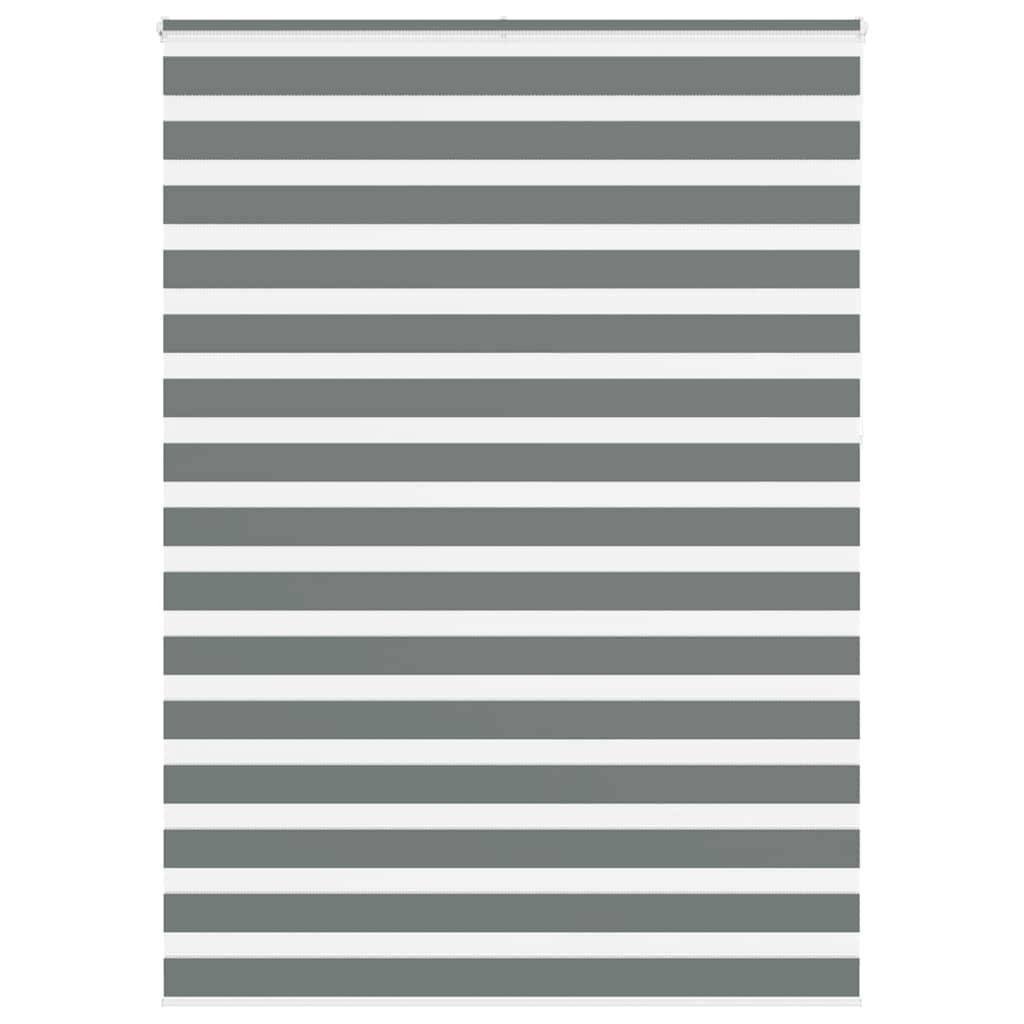 vidaXL Zebrarollo Dunkelgrau 160x230cm Stoffbreite 155,9 cm Polyester