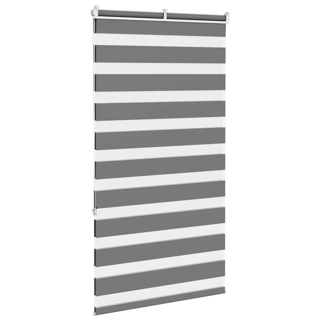 vidaXL Zebrarollo Dunkelgrau 80x150 cm Stoffbreite 75,9 cm Polyester