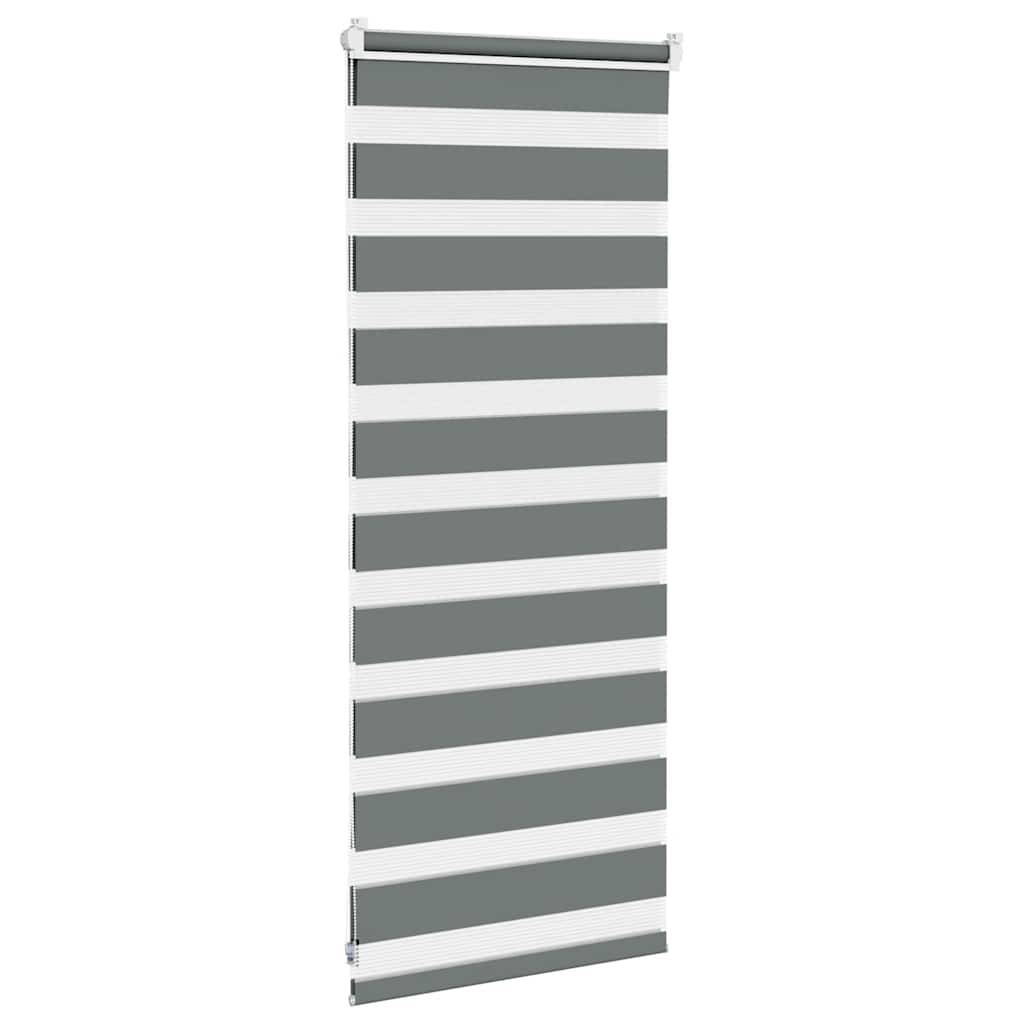 vidaXL Zebrarollo Dunkelgrau 60x100 cm Stoffbreite 55,9 cm Polyester