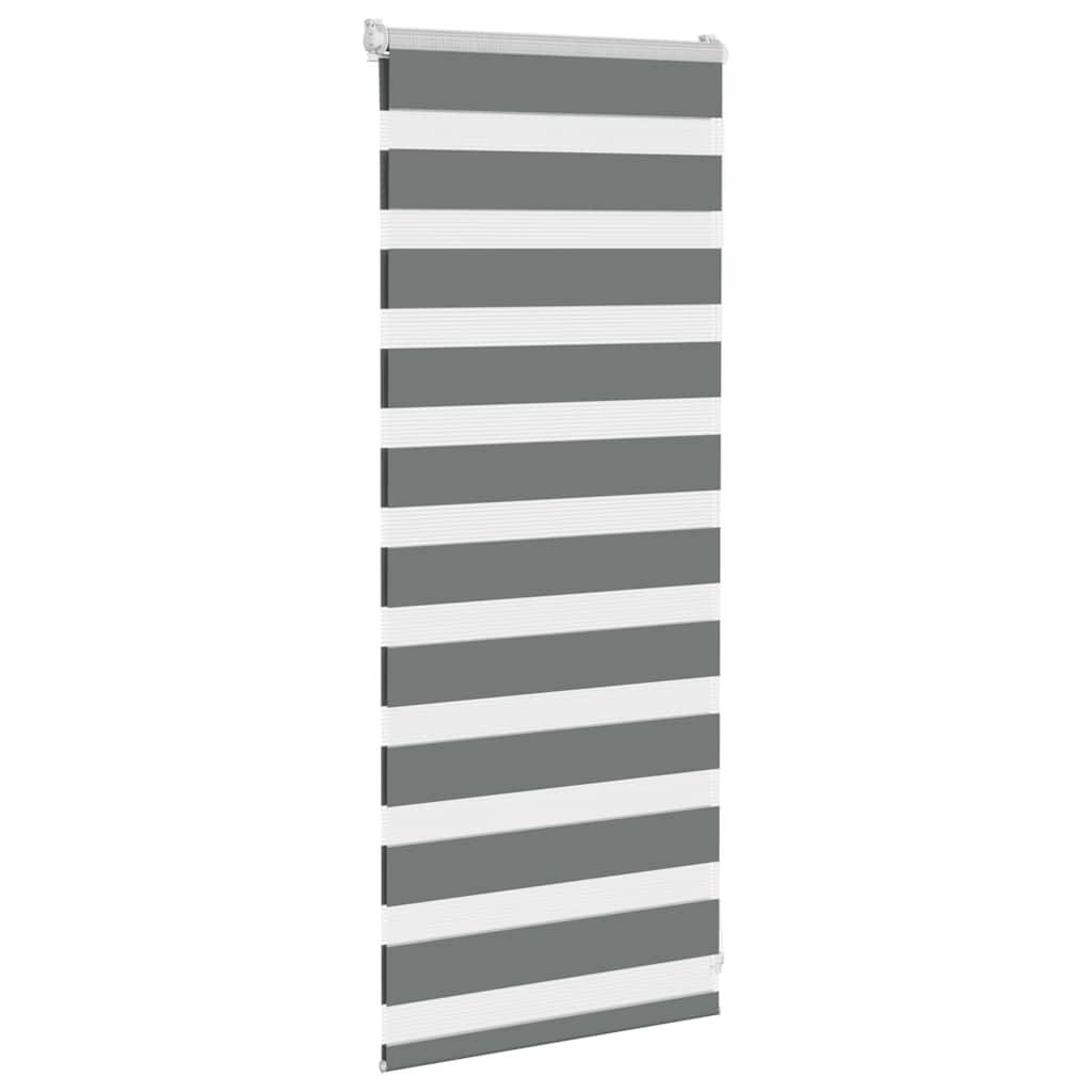 vidaXL Zebrarollo Dunkelgrau 60x100 cm Stoffbreite 55,9 cm Polyester