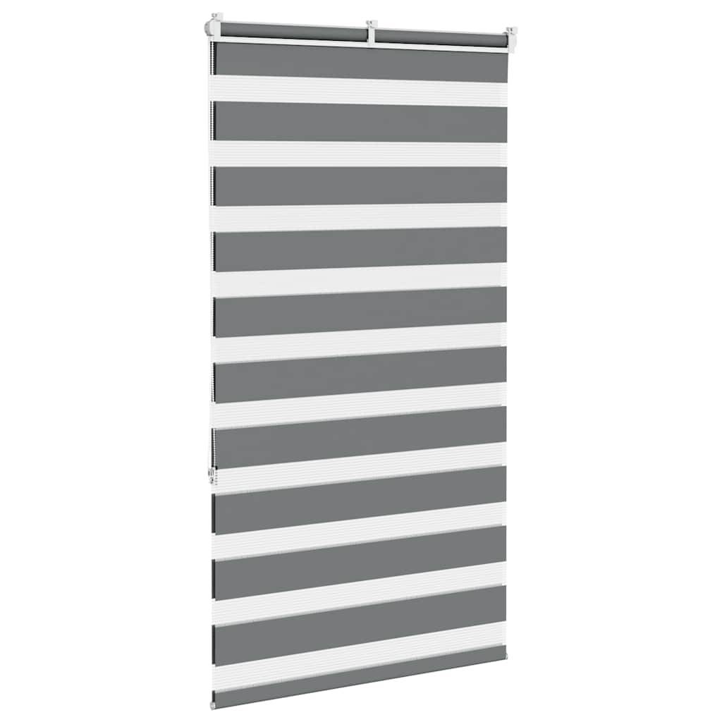 vidaXL Zebrarollo Dunkelgrau 70x150 cm Stoffbreite 65,9 cm Polyester