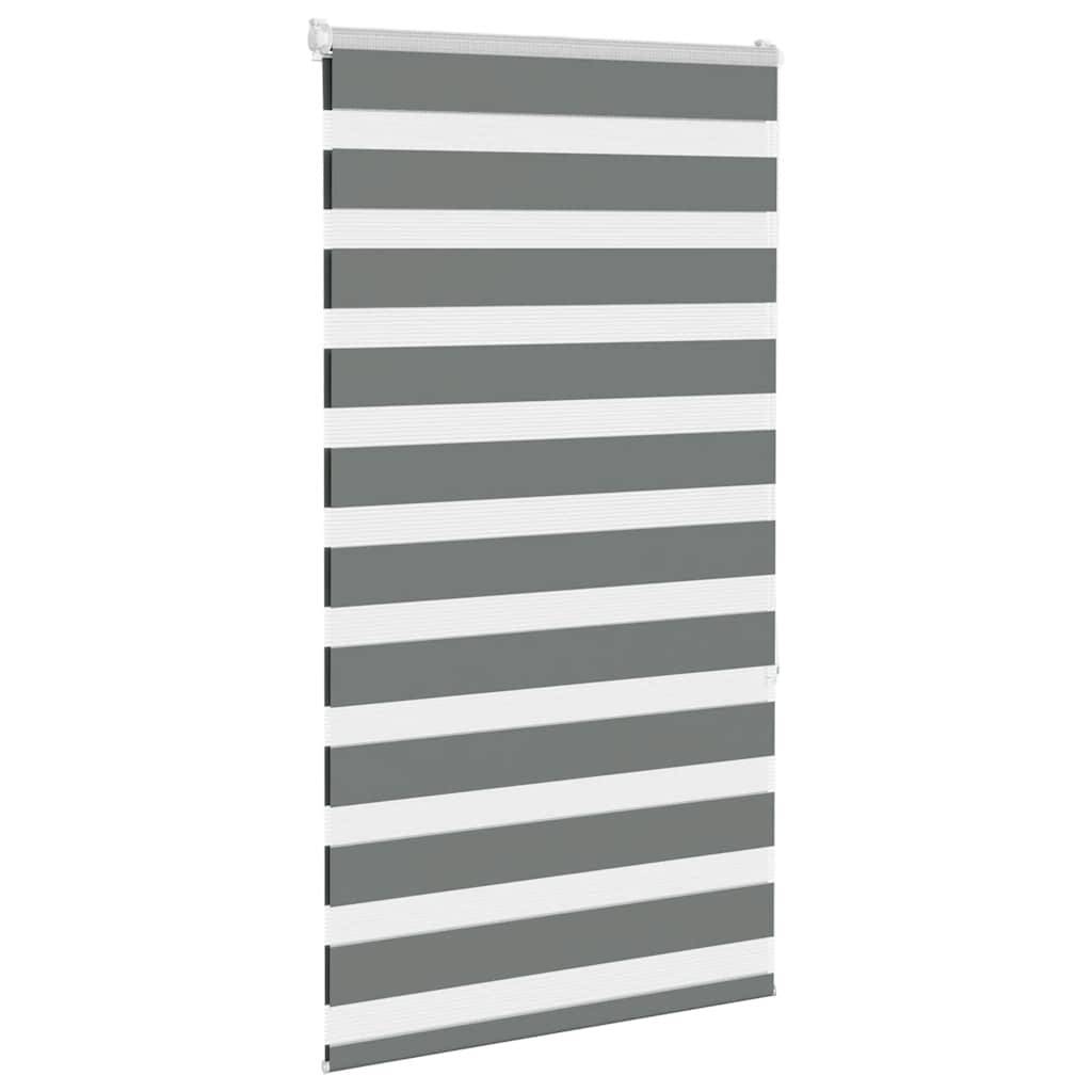 vidaXL Zebrarollo Dunkelgrau 70x150 cm Stoffbreite 65,9 cm Polyester