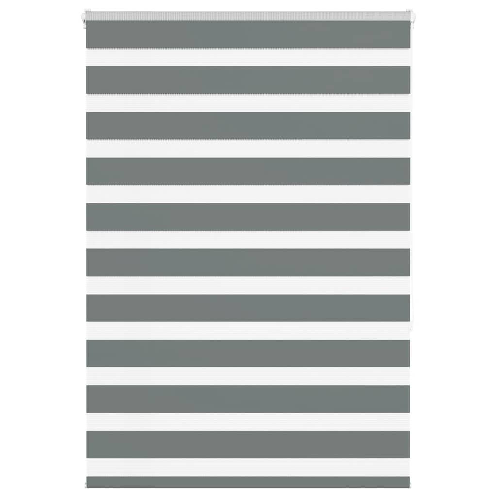 vidaXL Zebrarollo Dunkelgrau 100x150 cm Stoffbreite 95,9 cm Polyester