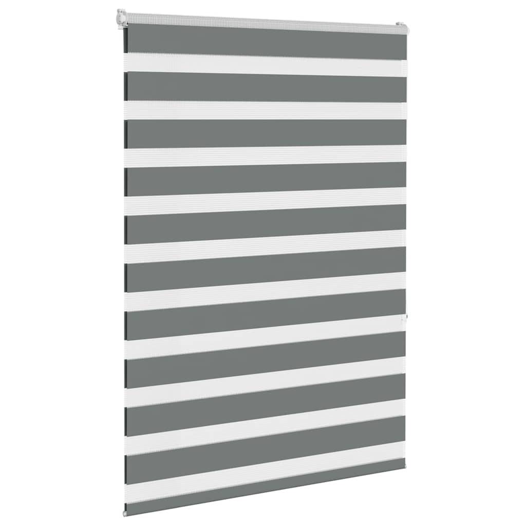 vidaXL Zebrarollo Dunkelgrau 100x150 cm Stoffbreite 95,9 cm Polyester