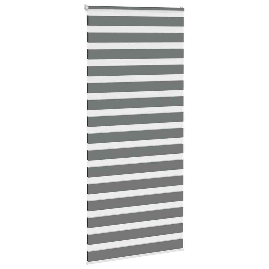 vidaXL Zebrarollo Dunkelgrau 115x200 cm Stoffbreite 110,9 cm Polyester