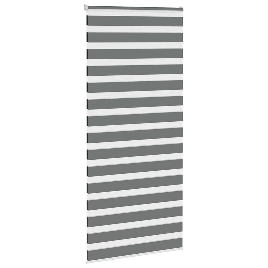 vidaXL Zebrarollo Dunkelgrau 110x200 cm Stoffbreite 105,9 cm Polyester