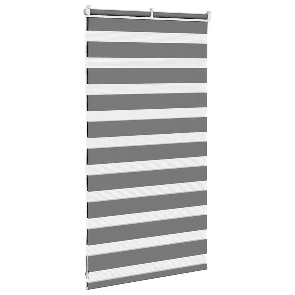 vidaXL Zebrarollo Dunkelgrau 80x100 cm Stoffbreite 75,9 cm Polyester