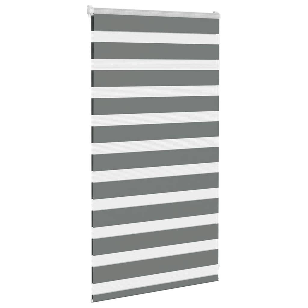 vidaXL Zebrarollo Dunkelgrau 80x100 cm Stoffbreite 75,9 cm Polyester