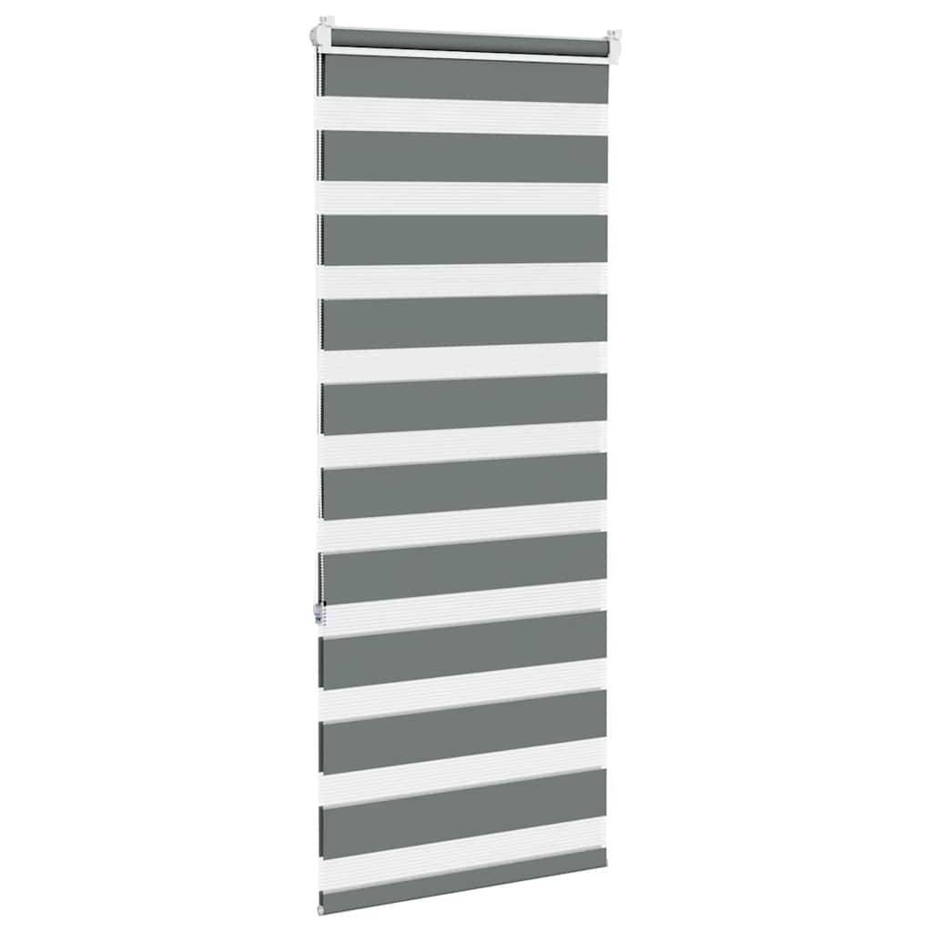 vidaXL Zebrarollo Dunkelgrau 55x150 cm Stoffbreite 50,9 cm Polyester