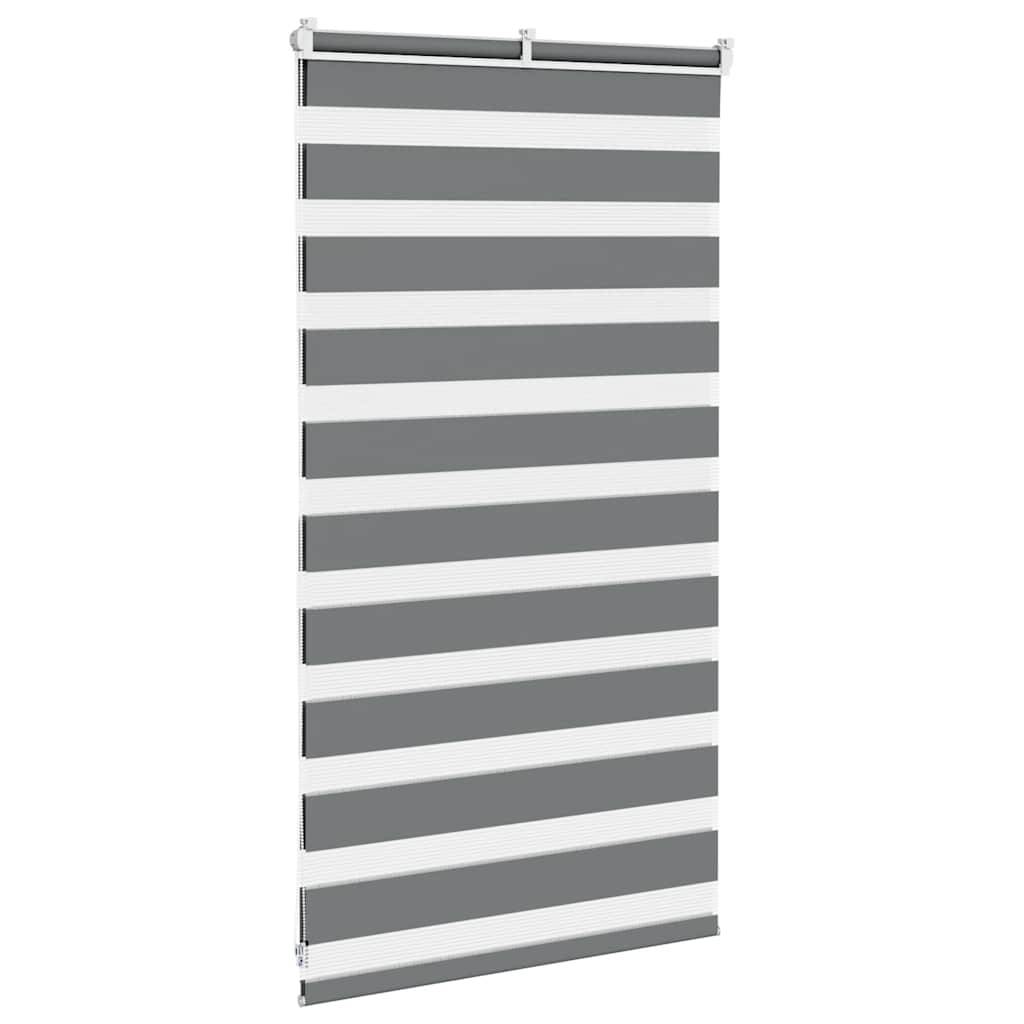 vidaXL Zebrarollo Dunkelgrau 70x100 cm Stoffbreite 65,9 cm Polyester