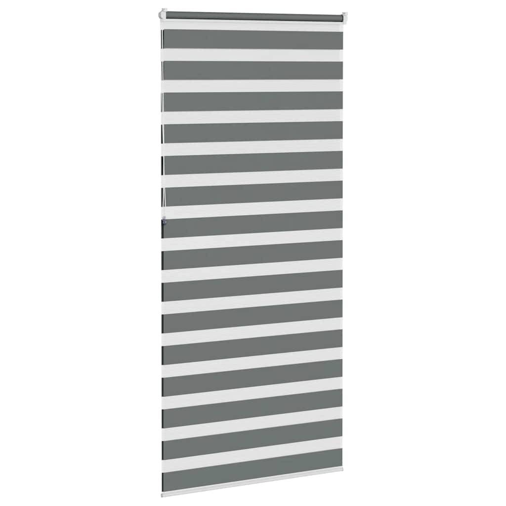 vidaXL Zebrarollo Dunkelgrau 105x230cm Stoffbreite 100,9 cm Polyester