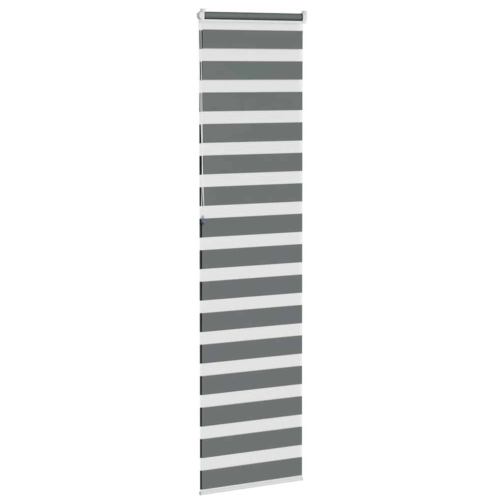 vidaXL Zebrarollo Dunkelgrau 65x230 cm Stoffbreite 60,9 cm Polyester