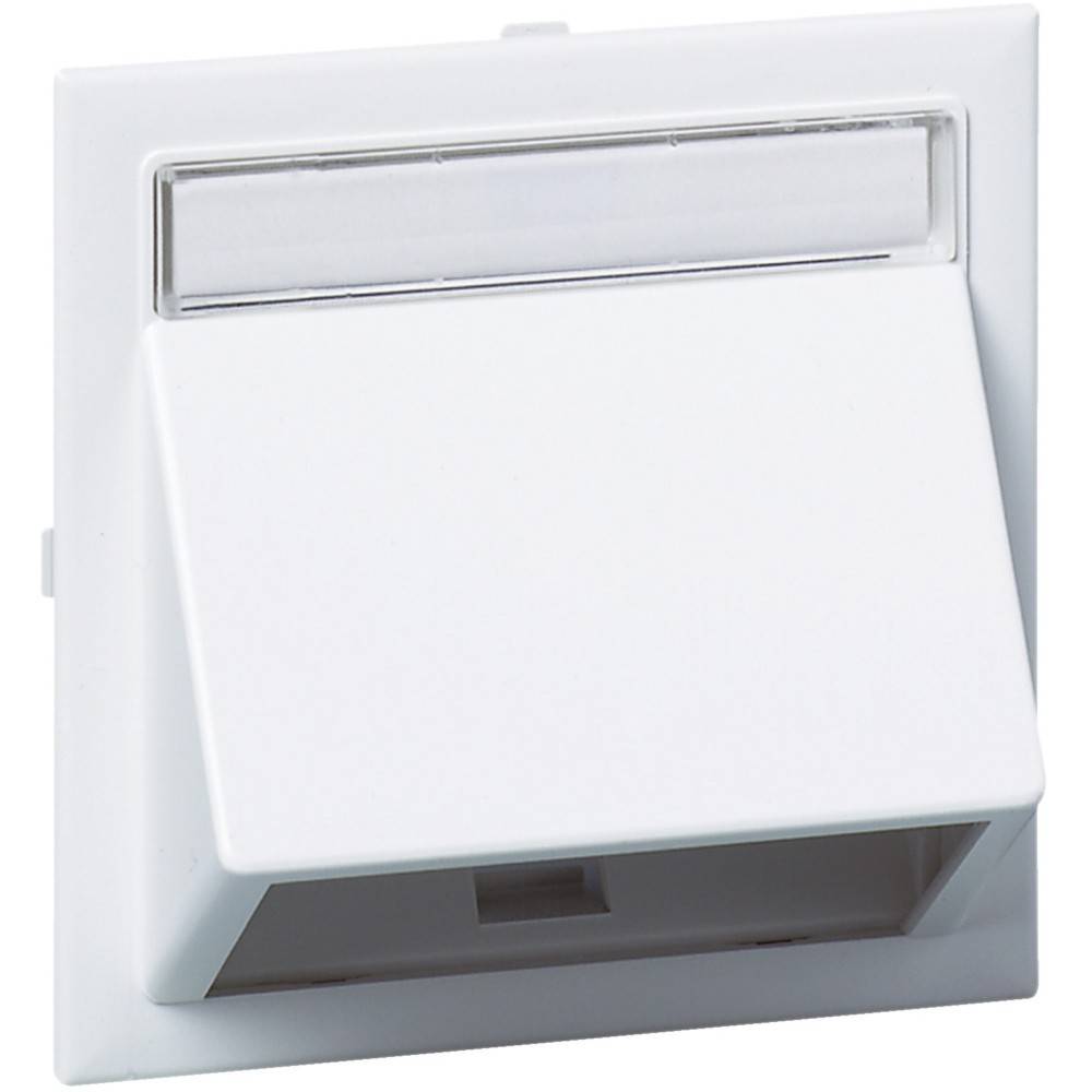 Schneider Electric Schrägauslass 5970000