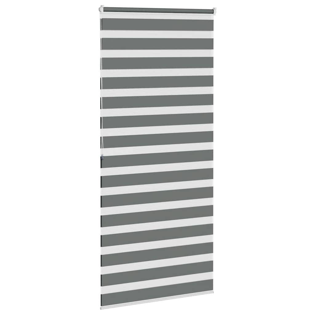 vidaXL Zebrarollo Dunkelgrau 100x200 cm Stoffbreite 95,9 cm Polyester