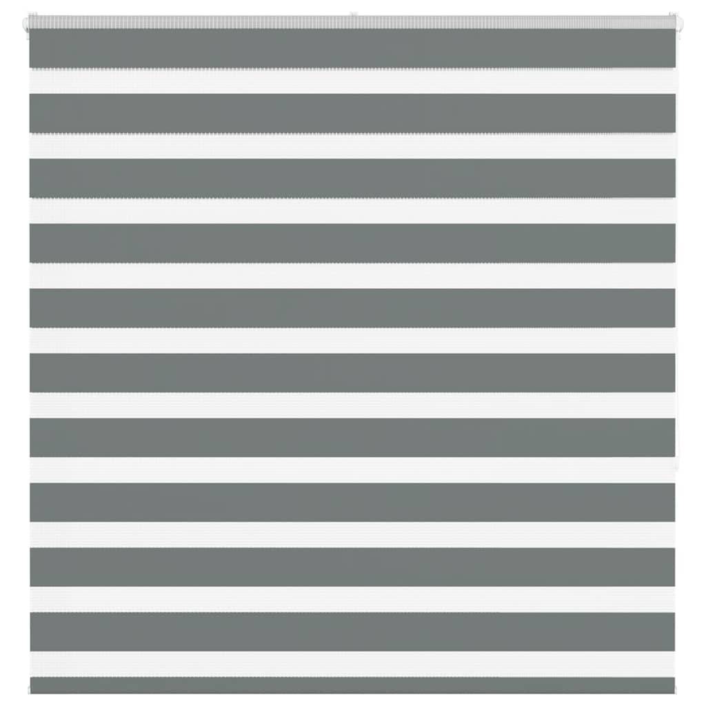 vidaXL Zebrarollo Dunkelgrau 150x150 cm Stoffbreite 145,9 cm Polyester