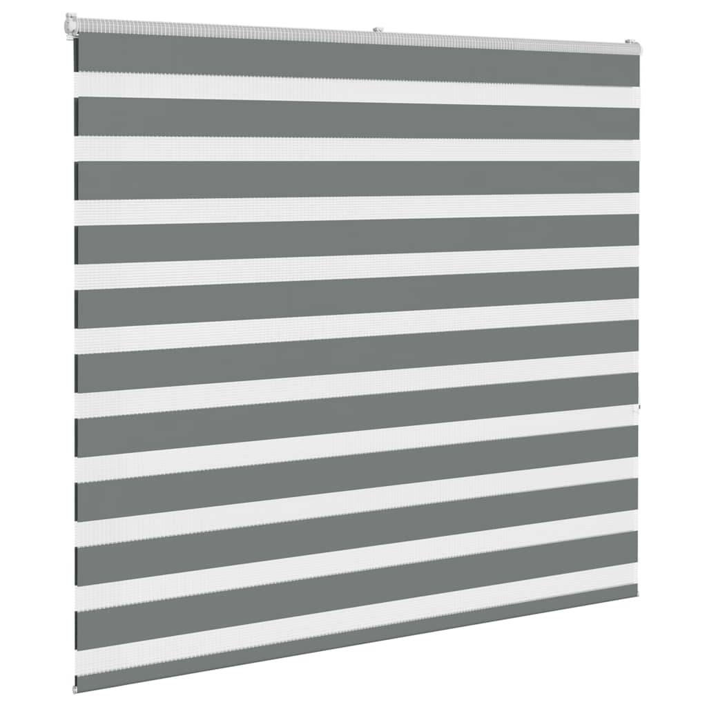 vidaXL Zebrarollo Dunkelgrau 155x150 cm Stoffbreite 150,9 cm Polyester