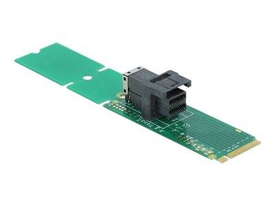 DELOCK Adapter M.2 Key M > SFF-8643 NVMe Komponenten Zubehör für Speicherlaufwerke