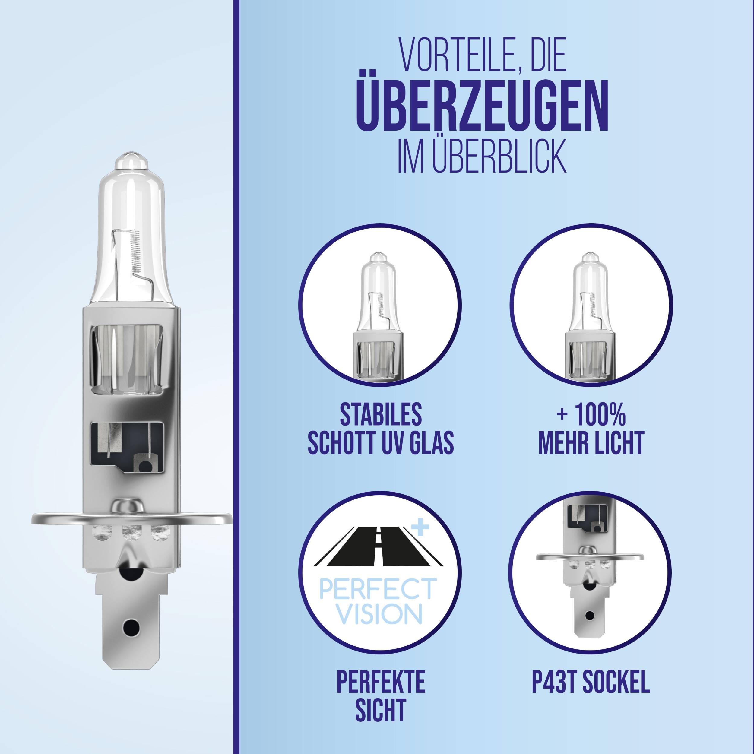 alca® Halogenlampe H1 100% mehr Licht Glühbirne Fahrzeuglampe Auto Leuchtmittel 12V 55W Sockel: P14.5s 2 Stück