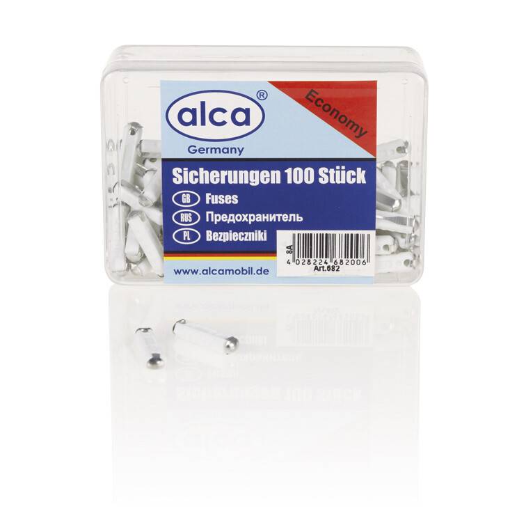 Karton mit 100 Sicherungen mit der Bezeichnung „alca Economy