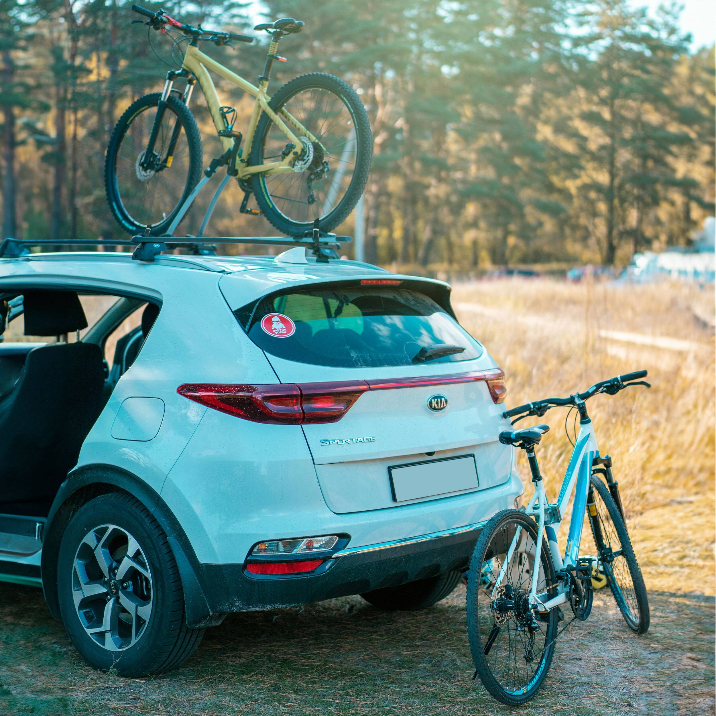 alca® Spanngurte Mini mit Klemmschloss, 4 Stk. 20cm lang, 250 daN, 25mm Transportgurte mit Schnellverschluss in