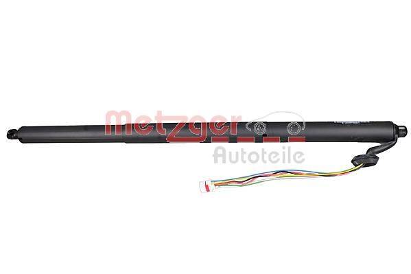 Metzger 2115009 Elektromotor, Heckklappe