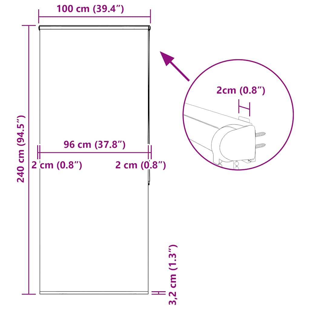 vidaXL Duschrollo mit Kassette 100x240 cm Stoffbreite 96 cm